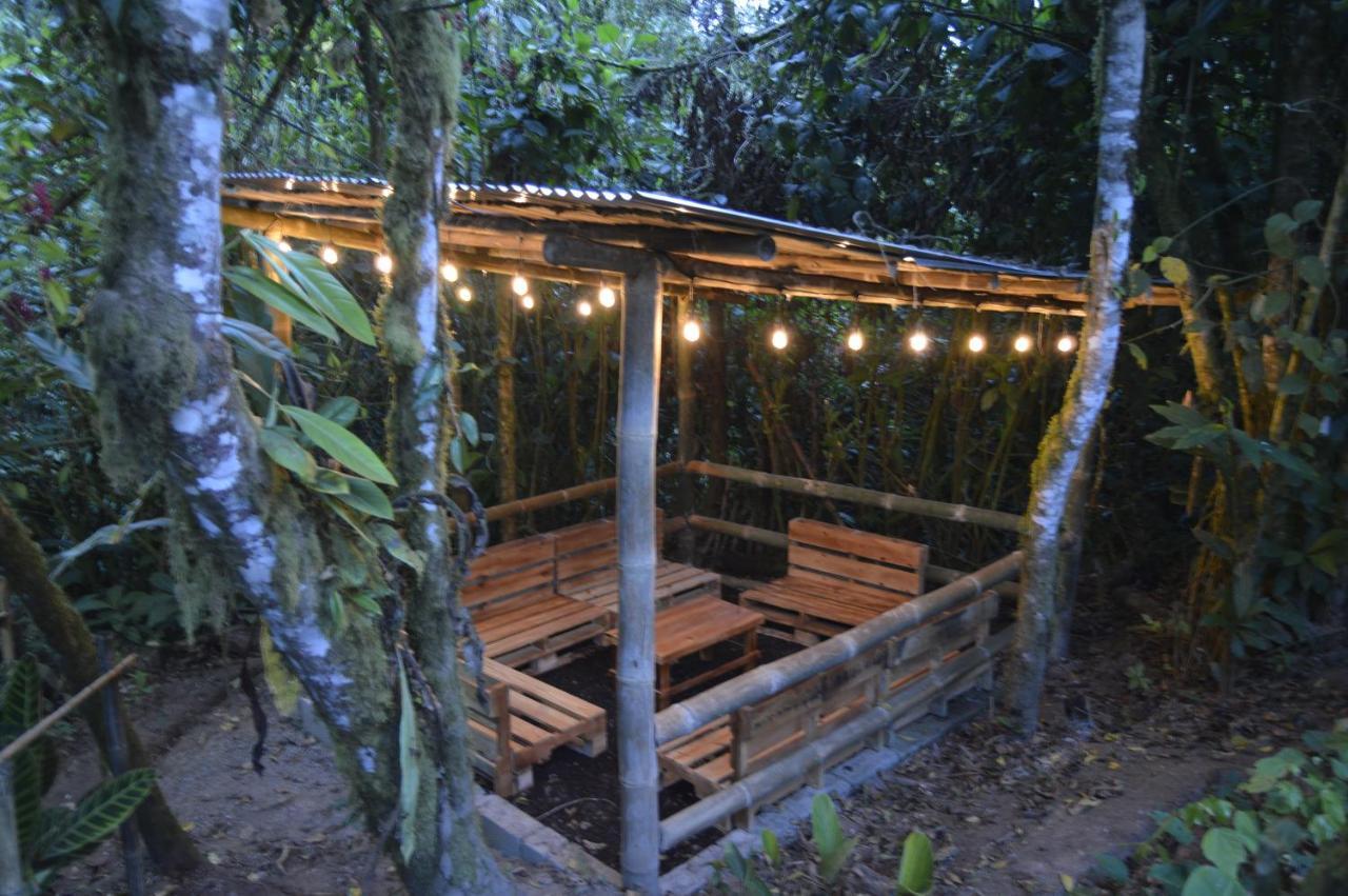 Mindo Green House Ngoại thất bức ảnh
