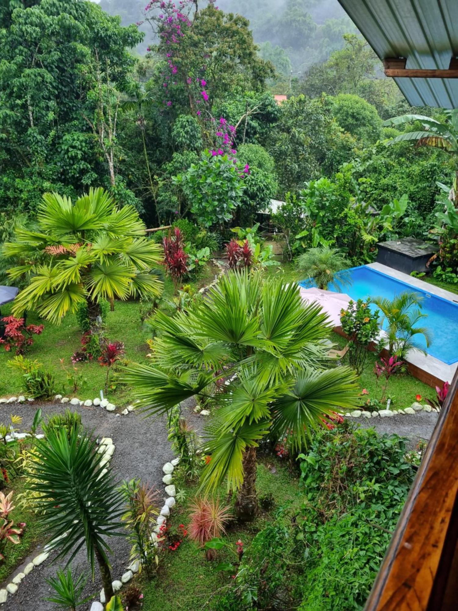 Mindo Green House Ngoại thất bức ảnh