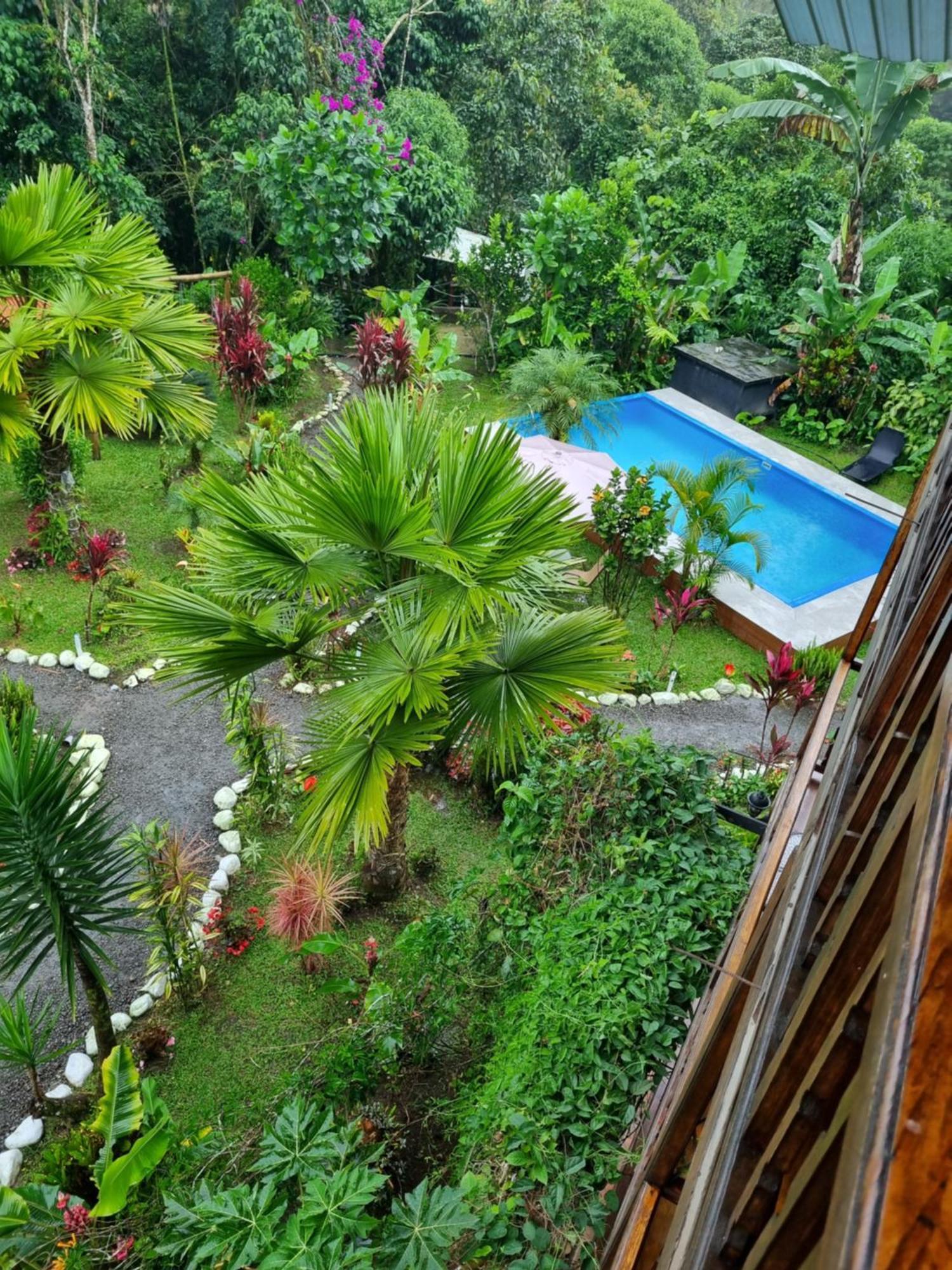 Mindo Green House Ngoại thất bức ảnh